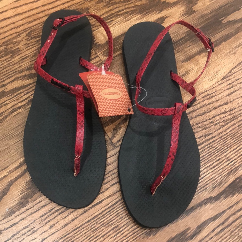 NWT HAVAINAS